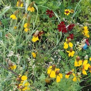 Meet your Posher, Wendi